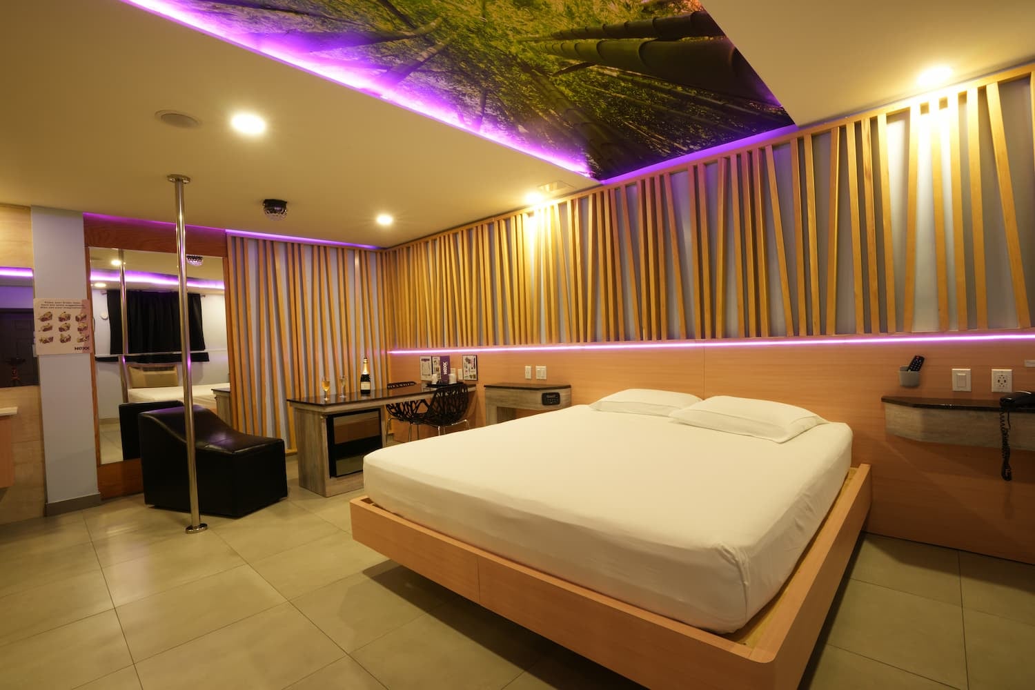 Suite Nexx Plus view 2